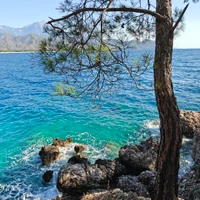 Увлекательное обучение и активный досуг