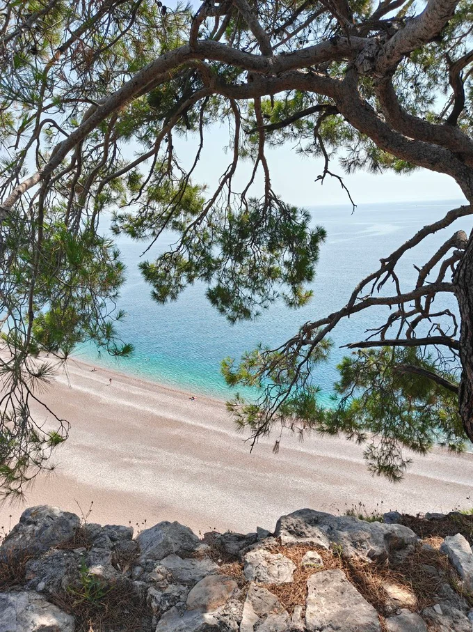 Пешие походы и прогулки